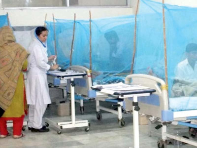 outbreak dengue threat worsens as 14 more test positive outbreak dengue threat worsens as 14 more test positive