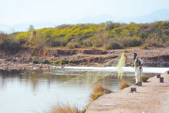 a man drops a net into the korang river photo huma chaudhary express a man drops a net into the korang river photo huma chaudhary express