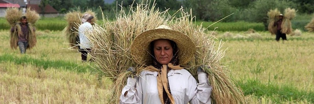 iran can lose 70 of its farmlands photo afp iran can lose 70 of its farmlands photo afp