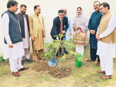 nbp takes part in tree plantation drive