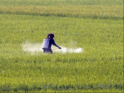 fertiliser industry demands release of rs19b in subsidy fertiliser industry demands release of rs19b in subsidy
