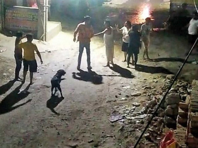 indian man stabbed to death for refusing apology to dog