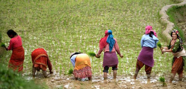 nepal farmers photo afp