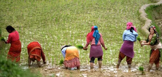 nepal farmers photo afp nepal farmers photo afp
