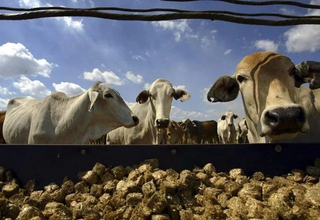 photo reuters photo reuters