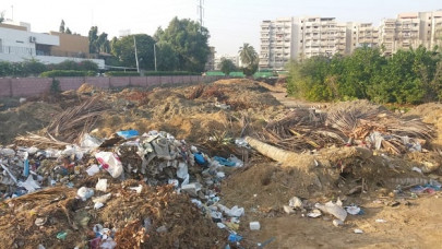 eco un friendly for the kmc money does grow on trees eco un friendly for the kmc money does grow on trees