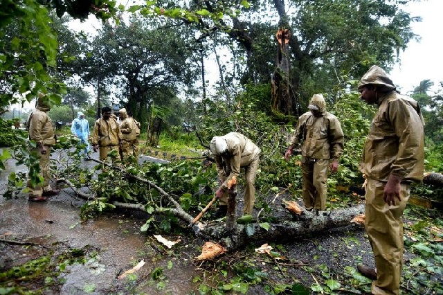 at least two men have died in cyclone titli one when a house collapsed and another killed by a falling tree photo afp