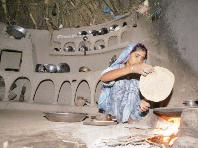 several factors like lack of awareness of healthy food and poor access due to low income and geographical barriers are the main reasons that upset the dietary system of households photo file