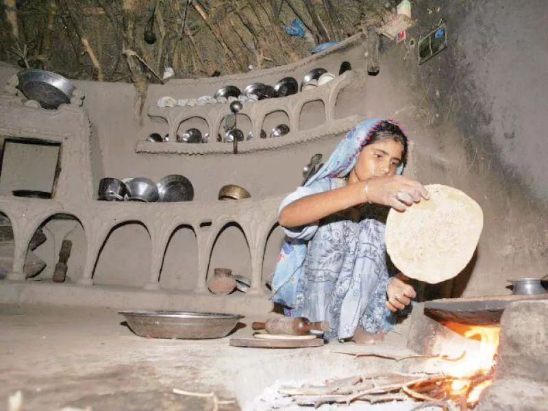 several factors like lack of awareness of healthy food and poor access due to low income and geographical barriers are the main reasons that upset the dietary system of households photo file several factors like lack of awareness of healthy food and poor access due to low income and geographical barriers are the main reasons that upset the dietary system of households photo file
