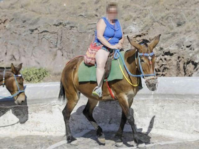 work load greece bans overweight tourists from riding donkeys