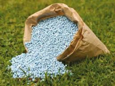 ministry reluctant to probe fertiliser plants windfall