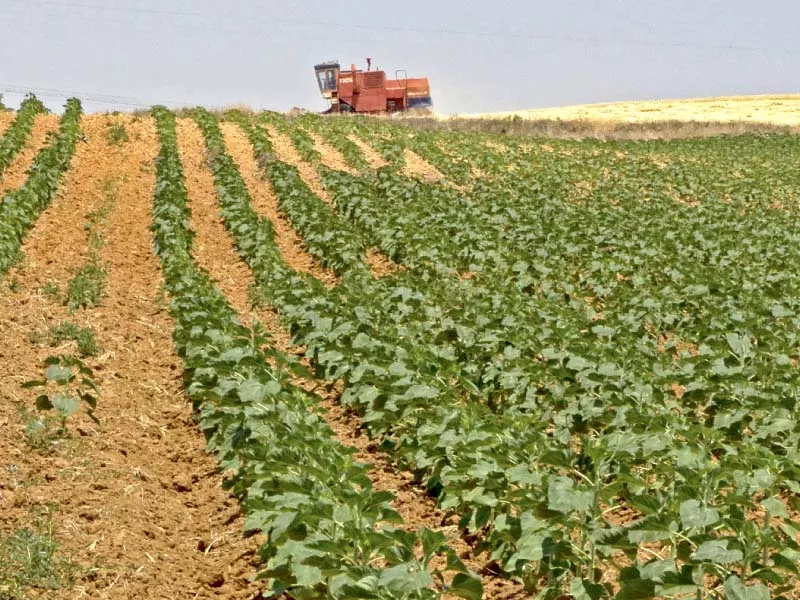 chinese companies may give buy back guarantees to farmers for the purchase of grains and food aimed at protecting them from losses officials said photo file chinese companies may give buy back guarantees to farmers for the purchase of grains and food aimed at protecting them from losses officials said photo file