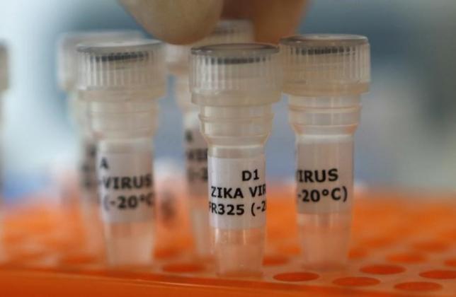 india reports 80 zika cases 22 pregnant women