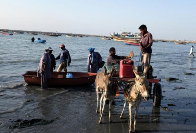 fishermen take out their catch from the sea at the end of the day in gwadar pakistan october 4 2017 photo reuters fishermen take out their catch from the sea at the end of the day in gwadar pakistan october 4 2017 photo reuters