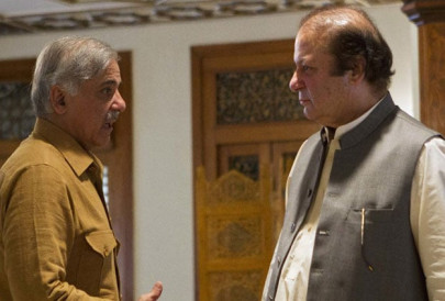 pml n agrees to zardari s remarks against govt