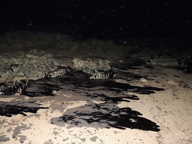 oil spill on the karachi coast photo asif sandeelo express