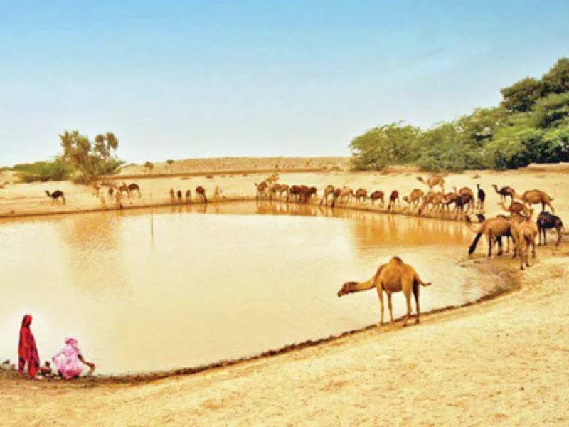 cholistan is severely water stressed for the past several months photo file cholistan is severely water stressed for the past several months photo file