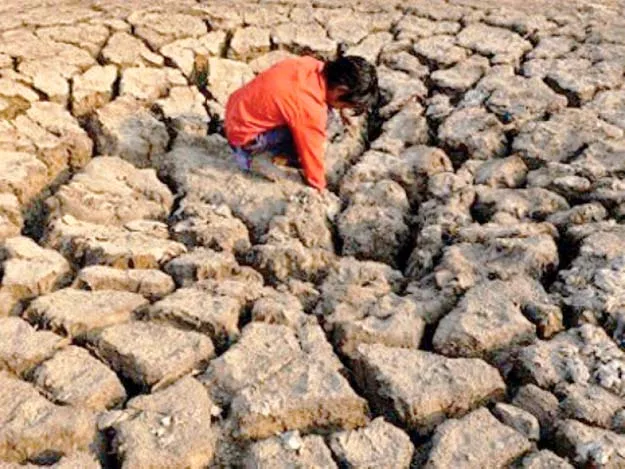 the highest number of undernourishment related deaths in infants and children are reported from tharparkar photo file the highest number of undernourishment related deaths in infants and children are reported from tharparkar photo file