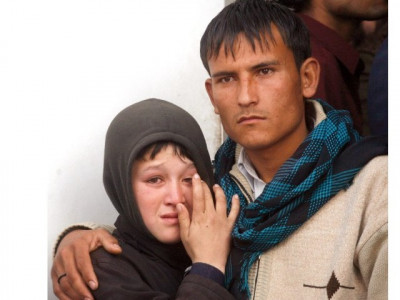 shiagenocide is a reality not just a fab twitter trend shiagenocide is a reality not just a fab twitter trend