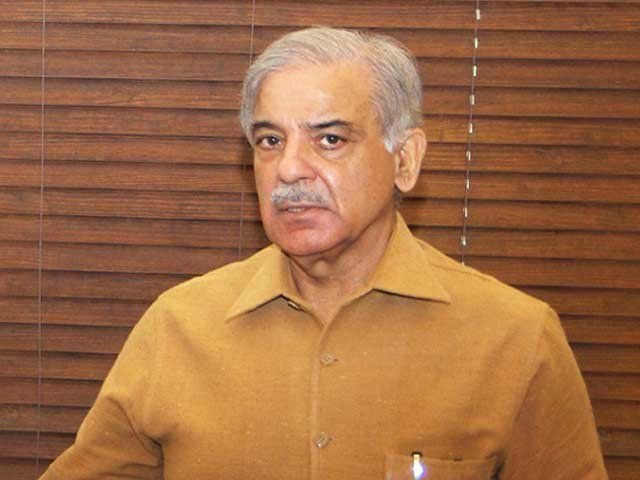 nab initiates inquiry against shehbaz for accumulating assets beyond means