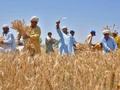 fatima fertilizer s profits rise 7 to rs2 77 billion