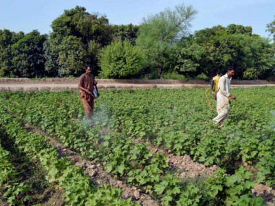 pfa to test intensity of pesticides in fields pfa to test intensity of pesticides in fields