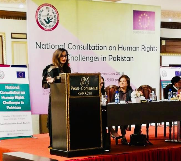 senator sherry rehman speaking at the national consultation on human rights and challenges in pakistan