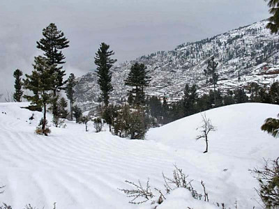 k p says malam jabba project awarded in transparent manner k p says malam jabba project awarded in transparent manner