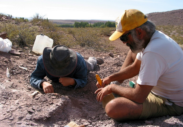 the region where the new species of sauropod was found is unusual as it would have been a desert during that era 110 million years ago photo afp the region where the new species of sauropod was found is unusual as it would have been a desert during that era 110 million years ago photo afp