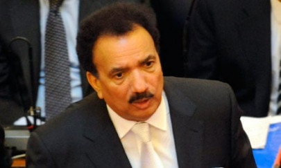 make imc an effective body rehman malik