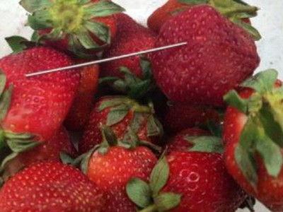 woman arrested over australia strawberry needle scare woman arrested over australia strawberry needle scare