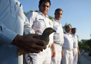 customs increases staff for swift goods clearance