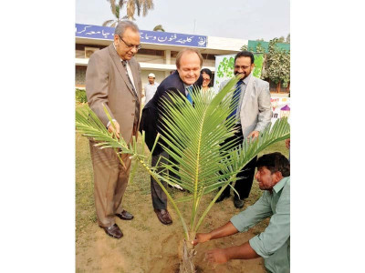 clean atmosphere german envoy plants trees at ku