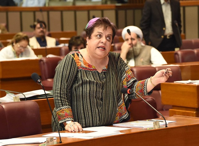 human rights minister shireen mazari speaks at the national assembly photo twitter pid gov