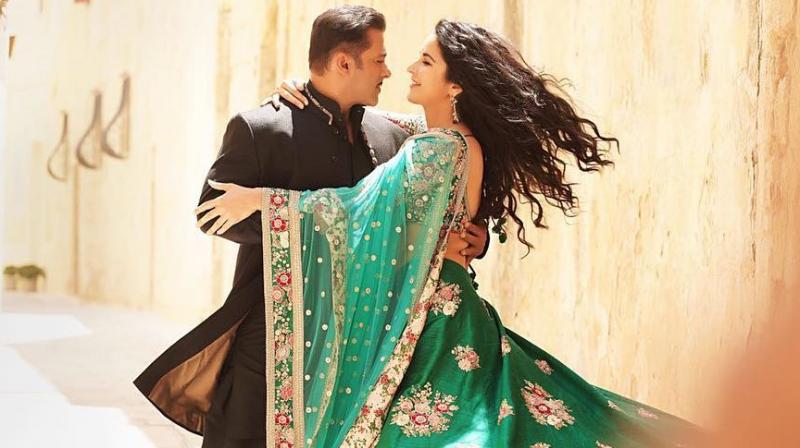 salman khan and katrina kaif photo file