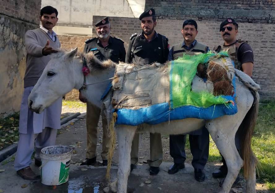 suspects hide 1 5kg of hashish under belongings carried on a donkey photo express