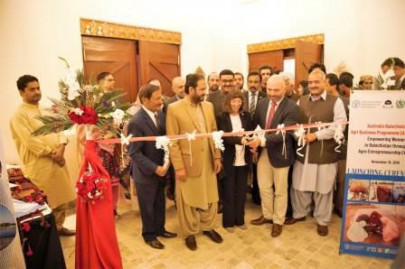 fao balochistan govt unveil two projects fao balochistan govt unveil two projects
