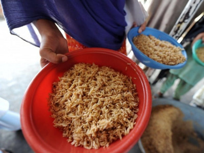 volunteers vow fighting hunger by food reusability volunteers vow fighting hunger by food reusability