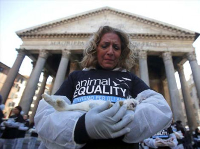 lessons from the us be kind to animals lessons from the us be kind to animals