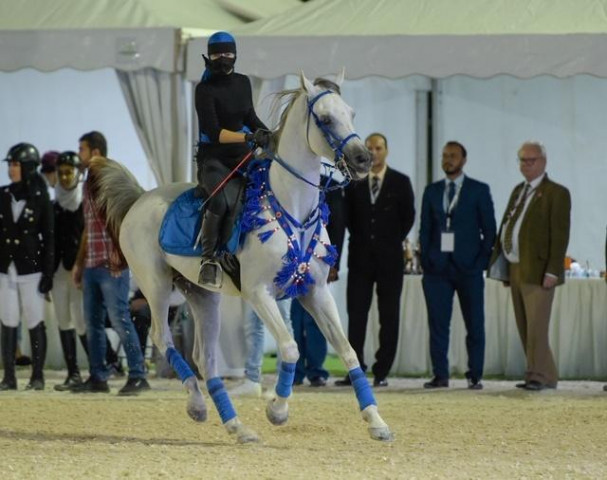 three day competition held in jeddah received participants from middle east as well from the international arena hoto courtesy al arabiya
