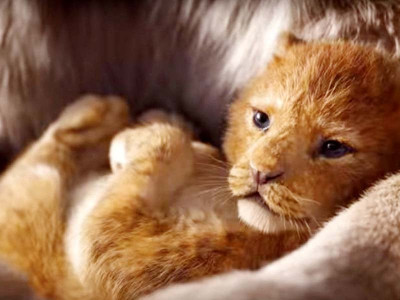 tedit reports tedit reports