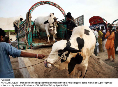 reviving pvmc working group to modernise livestock handling capabilities