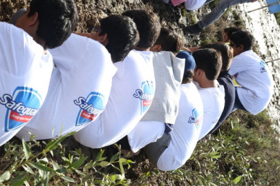 safeguard on a mission to paint the town green one tree at a time safeguard on a mission to paint the town green one tree at a time