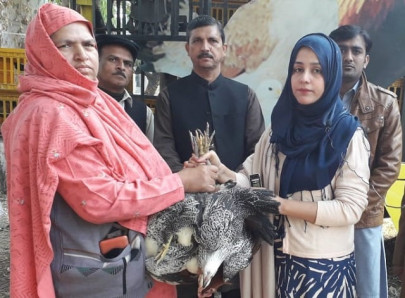 following pm s chicken and egg vision govt kicks off poultry campaign