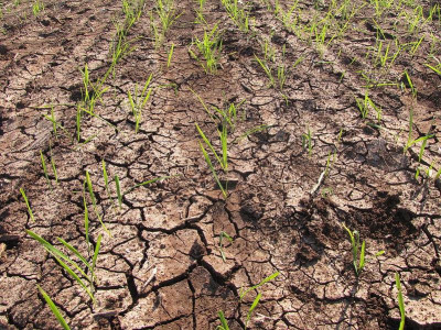 water scarcity hits tail end farming community