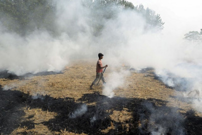 india s polluted air claimed 1 24 million lives in 2017 study india s polluted air claimed 1 24 million lives in 2017 study