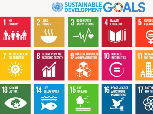 sustainable development goals picture un