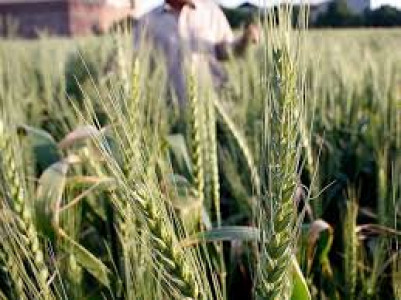 association demands justice for farmers association demands justice for farmers