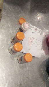 large quantity of tranquilisers seized at islamabad airport large quantity of tranquilisers seized at islamabad airport