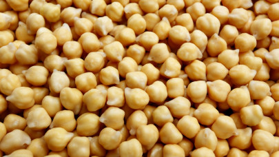 pakistan fourth largest producer of chickpeas report